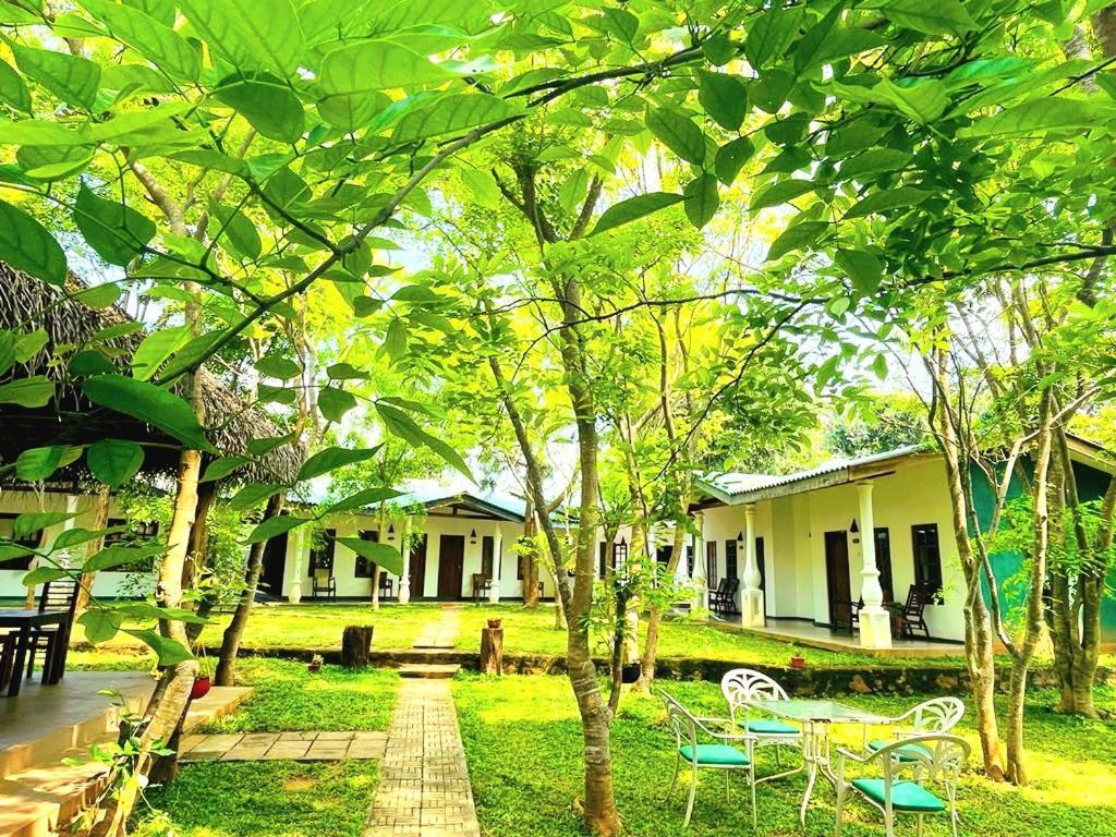 Kingfisher Resort Сігірія Екстер'єр фото