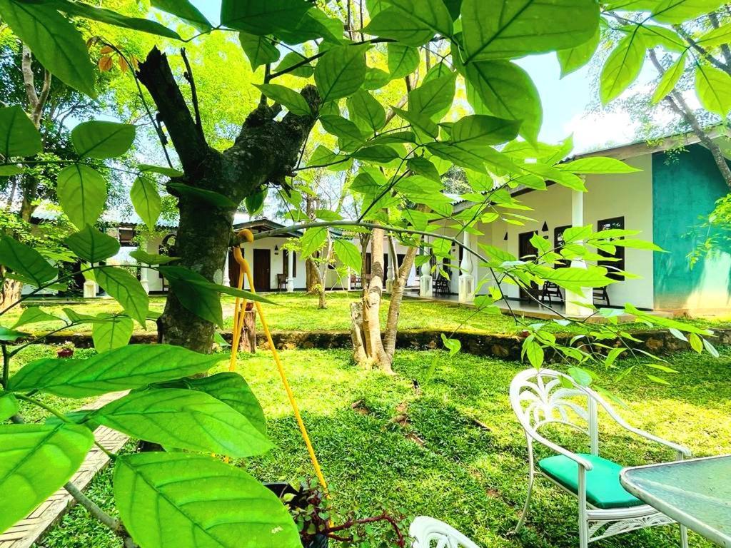 Kingfisher Resort Сігірія Екстер'єр фото